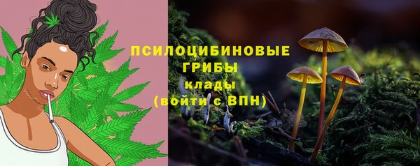 марки lsd Гусь-Хрустальный